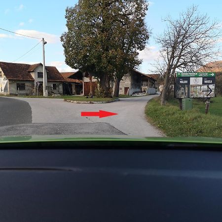 Guesthouse Braslovce - Celje Экстерьер фото