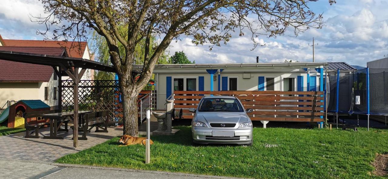 Guesthouse Braslovce - Celje Экстерьер фото