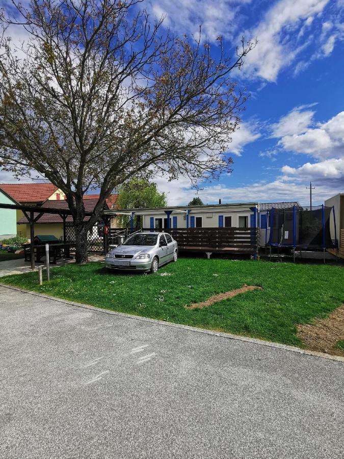 Guesthouse Braslovce - Celje Экстерьер фото